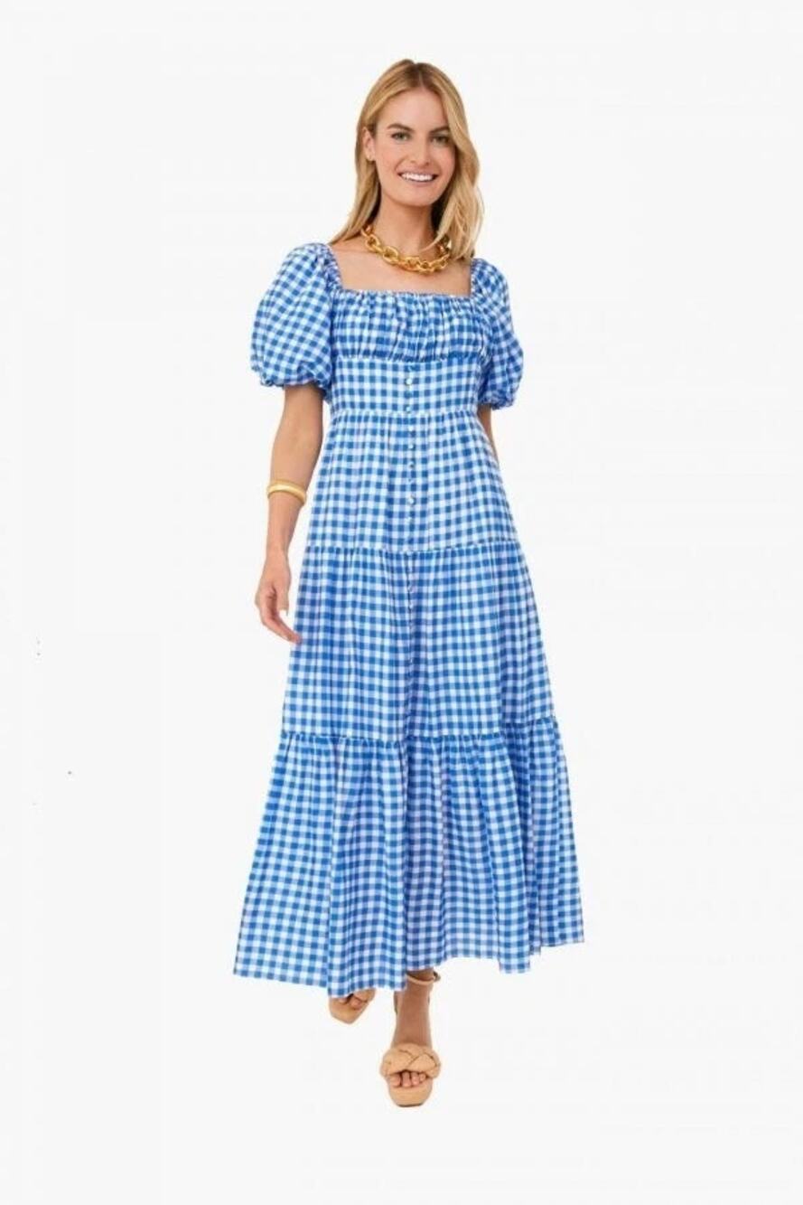 NWT Hyacinth House Harper Maxi Dress Blue Gingham Medium M